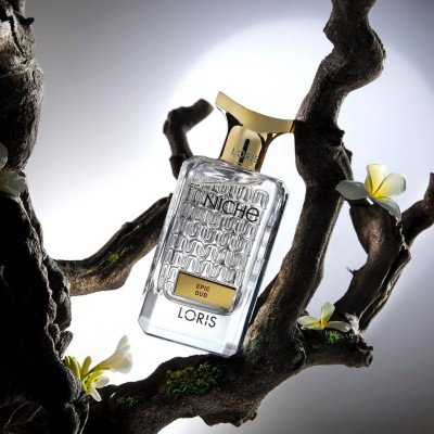 Niche Serisi ile Tanışın